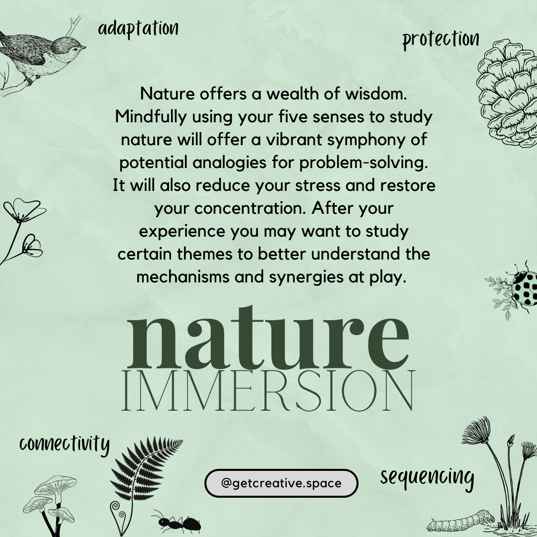 Nature offers a wealth of wisdom. Mindfully using your five senses to study nature will offer a vibrant symphony of potential analogies for problem-solving. It will also reduce your stress and restore your concentration. After your experience you may want to study certain themes to better understand the mechanisms and synergies at play.